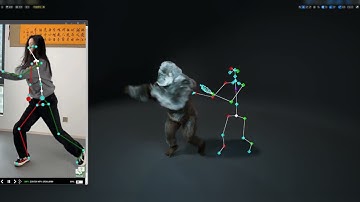 converts martial arts movements into 3D skeletal data for scientific analysis,