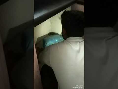 camera iphone 8 plus apk Small cobra Catching video