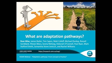 Adaptation Pathways –  From Concept to Practice