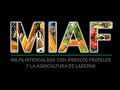 MILPA INTERCALADA CON ÁRBOLES FRUTALES Y LA AGRICULTURA DE LADERAS   MIAF
