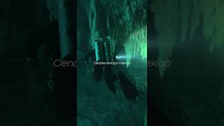 Have you ever been cenote diving in Mexico?