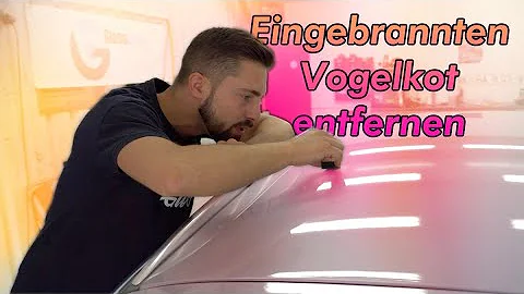 Wie bekomme ich eingebrannten Vogelkot vom Autolack?