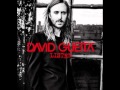David Guetta - What I Did For Love (feat Emeli San