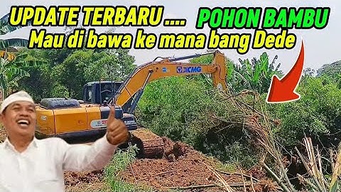 UPDATE TERBARU ‼️ NORMALISASI KALI CIKARANG POHON BAMBU MAU DI BAWA KE MANA BANG DEDE