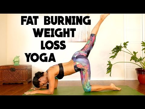 What How Many Calories Does Yoga Fit Burn