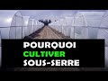 5 bonnes raisons pour lesquelles il faut cultiver sous une serre agricole agriculture 