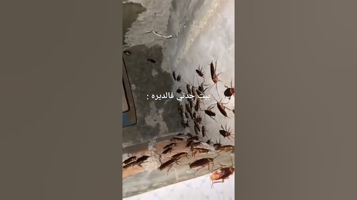 تخافو من الصراصير!؟ #السعودية هههههههههههه😂💔