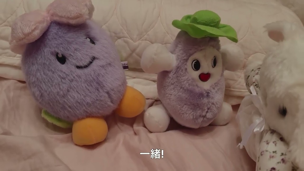 一緒？