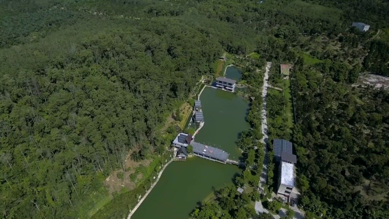 mantin forest art resort price