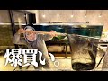 だってポリプおじさんだから…ポリプテルス爆買いした