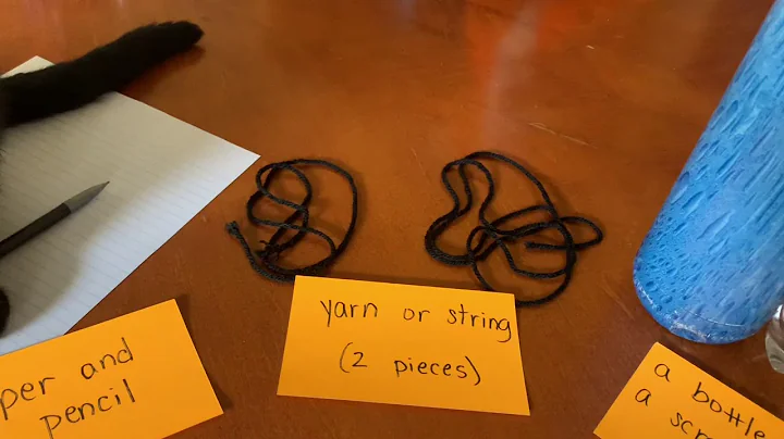 Thumbs Investigation supplies