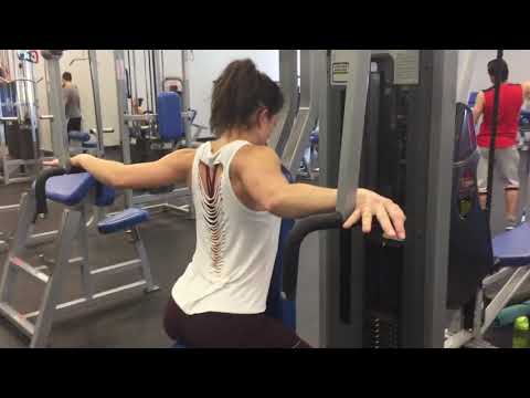 Rear Delt Fly Machine