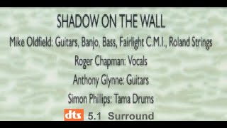 Mike Oldfield & Roger Chapman- Shadow On The Wall (DTS 5.1 Surround) (2013)