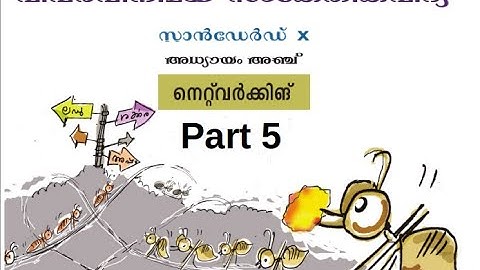 CM Soft ICT Tutorials Std 10 Chapter 5 Network 5