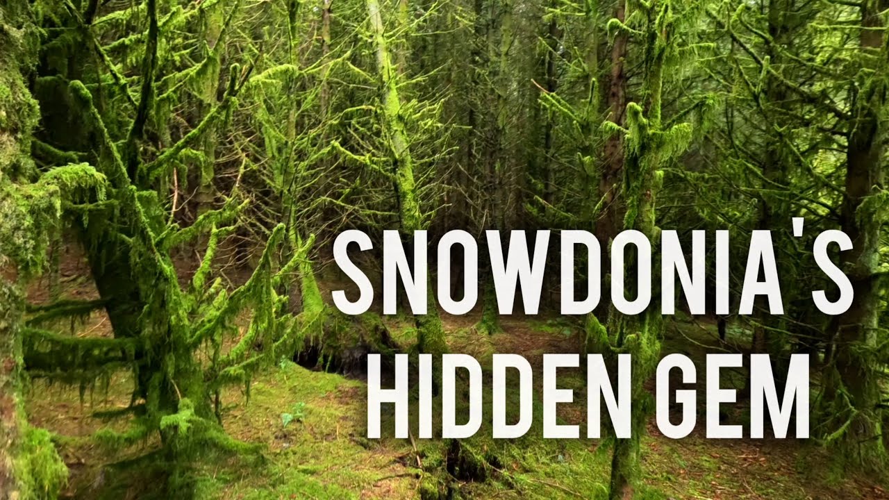 Snowdonia's Hidden Gem - Alwen Reservoir. I was surprised!