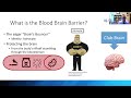 POCKET TALK | Managing and Preventing Delirium in Older Adults | 5/24/2024