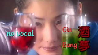 酒梦 Ciu Bang 伴奏 karaoke 小凤凤 Xiao Feng Feng 福建 ( Hokkien )