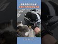 路中央驚見2隻小貓! 重機騎士秒停車暖心救援 #shorts @Truemii