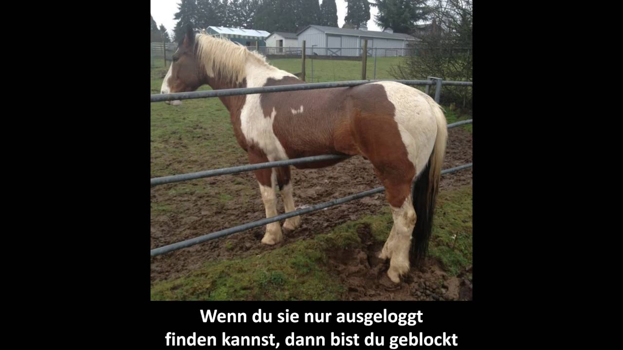 Herausfinden ob jemand dich auf Facebook blockiert hat