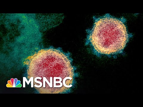 Infectious Disease Expert's Plan To Crush Coronavirus In 10 Weeks | The 11th Hour | MSNBC