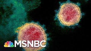 Infectious Disease Expert's Plan To Crush Coronavirus In 10 Weeks | The 11th Hour | MSNBC