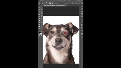 Magic of Clone Stamp tool in Photoshop #photoshoptutorial #photoshop_tutorial_for_beginners