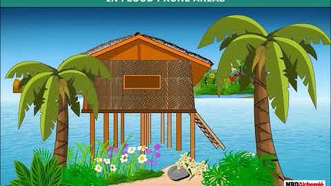 Types of Houses | A Shelter So High! EVS | Class 5