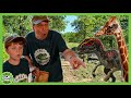 Dinosaurs, Wild Animals, Adventures, &amp; MORE | T-Rex Ranch Dinosaur Videos for Kids