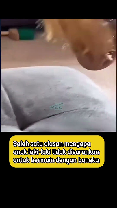 Cowok Main Boneka? Bahaya Besar!