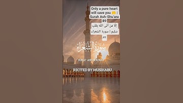 Only a pure heart will save you 🤲 Surah Ash-Shu‘ara 89إِلَّا مَنْ بِقَلْبٍ سَلِيمٍ | سورة الشعراء ٨٩