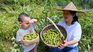 Pick lotus beans with Yike,stir-fry and cook two dishes, simple and delicious