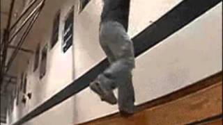 Very Old Gifs