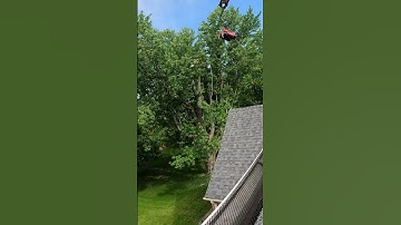 Crane, Tree Removal - Certifed Crane Operator -