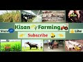 10 pig से शुरू करें सूअर पालन । Pig farming will start from 10 pig । kisan farming Mp3 Song
