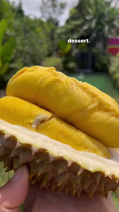 Musang King Durian #musangking #durian #satisfying #shorts #fruit