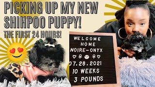 Picking Up My New 10 Week Old Shihpoo Puppy| First 24 Hours With a New Puppy| Puppy’s First Grooming