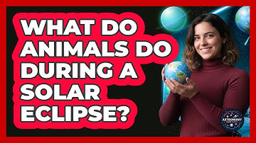 What Do Animals Do During A Solar Eclipse? - Astronomy Made Simple