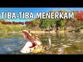 AWASS‼️PREDATOR INI SANGAT SUKA MENYAMBAR UMPAN PEMANCING‼️😱 |Casting di sungai dapatnya macam-macam