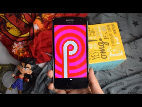 moto x play pie moto x play pie