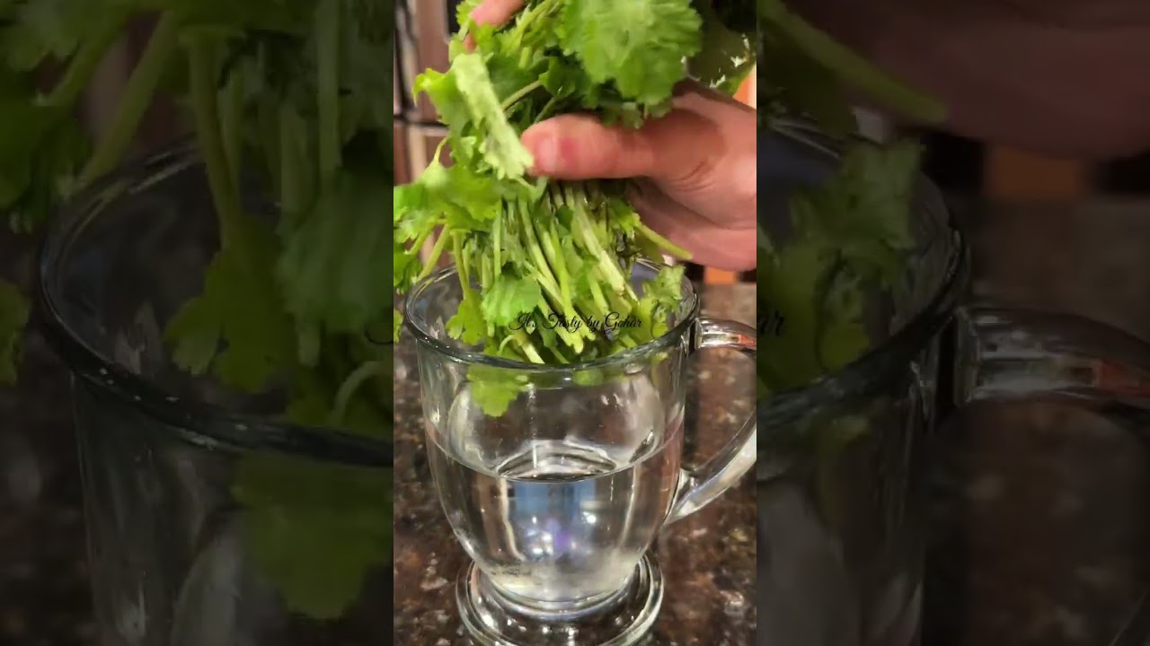 How to keep Cilantro fresh longer? Fresh dhaniya shorts shortsvideo 