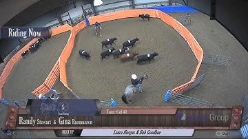 Big Sky Ranch Sorting Saddle Series #2 - #6 H/C - Round #1 - Ride #6