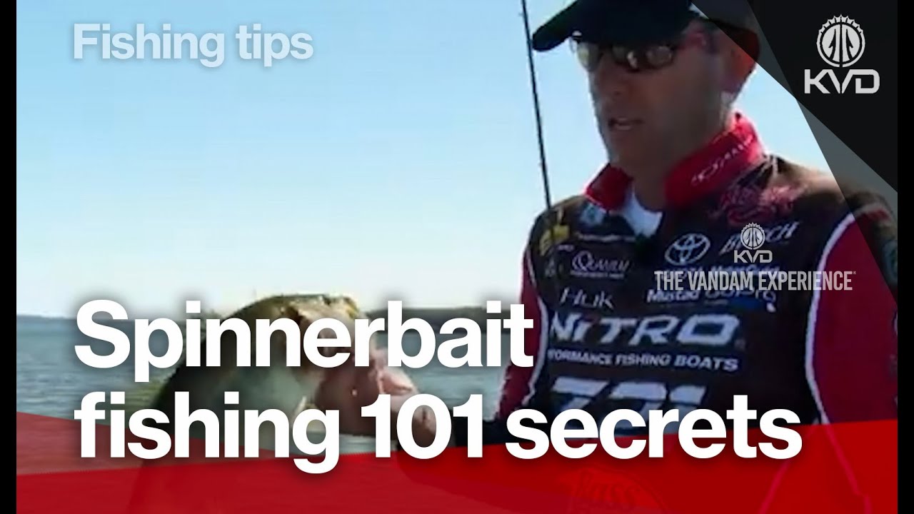 Pro Techniques That Catch More Bass : Kevin VanDam's Spinnerbait Fishing Secrets
