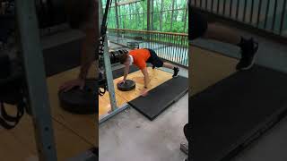 Hand Plank Plate Walk Over