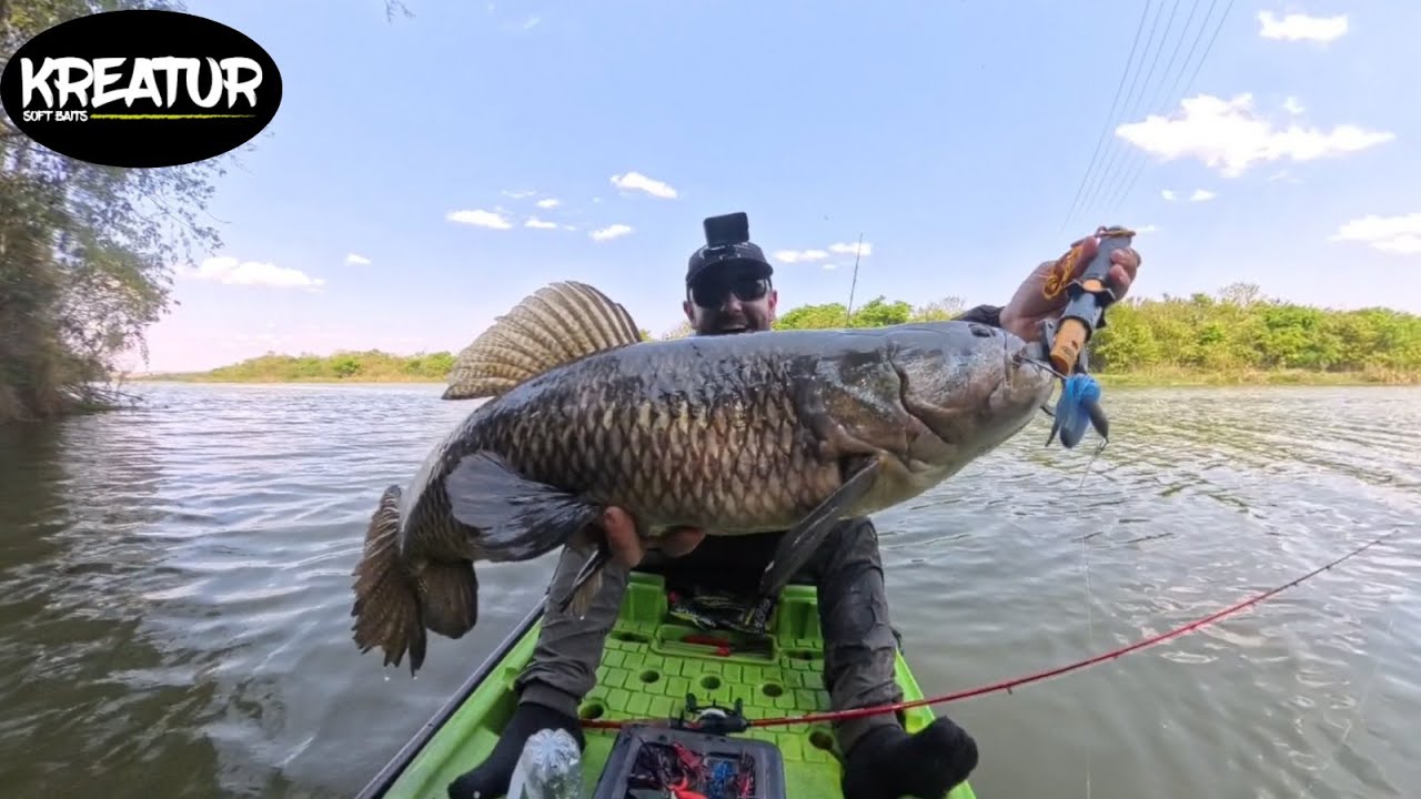 Traíra PRÉ-HISTÓRICA 68cm!!! Recorde pessoal batido muita emoção! Represa de Tibagi!
