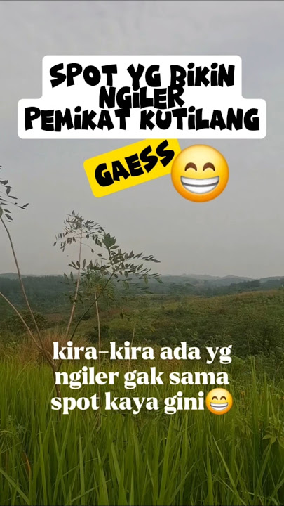 Spot paling di cari pemikat burung kutilang #kutilang #burung #kicaumaniaindonesia #birds