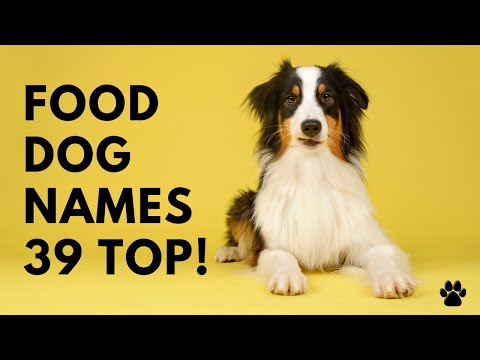 Video: 101 hundnamn för foodies