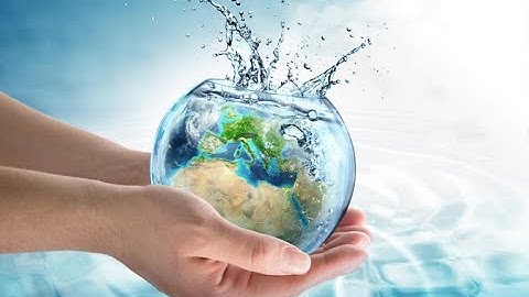 Embracing Green Living  A Journey Towards Sustainable Practices