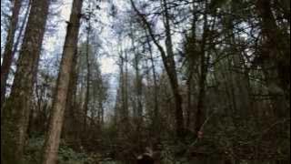 PYN - 'Me'