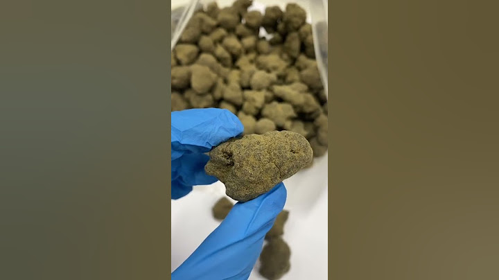 Moonrock Calao