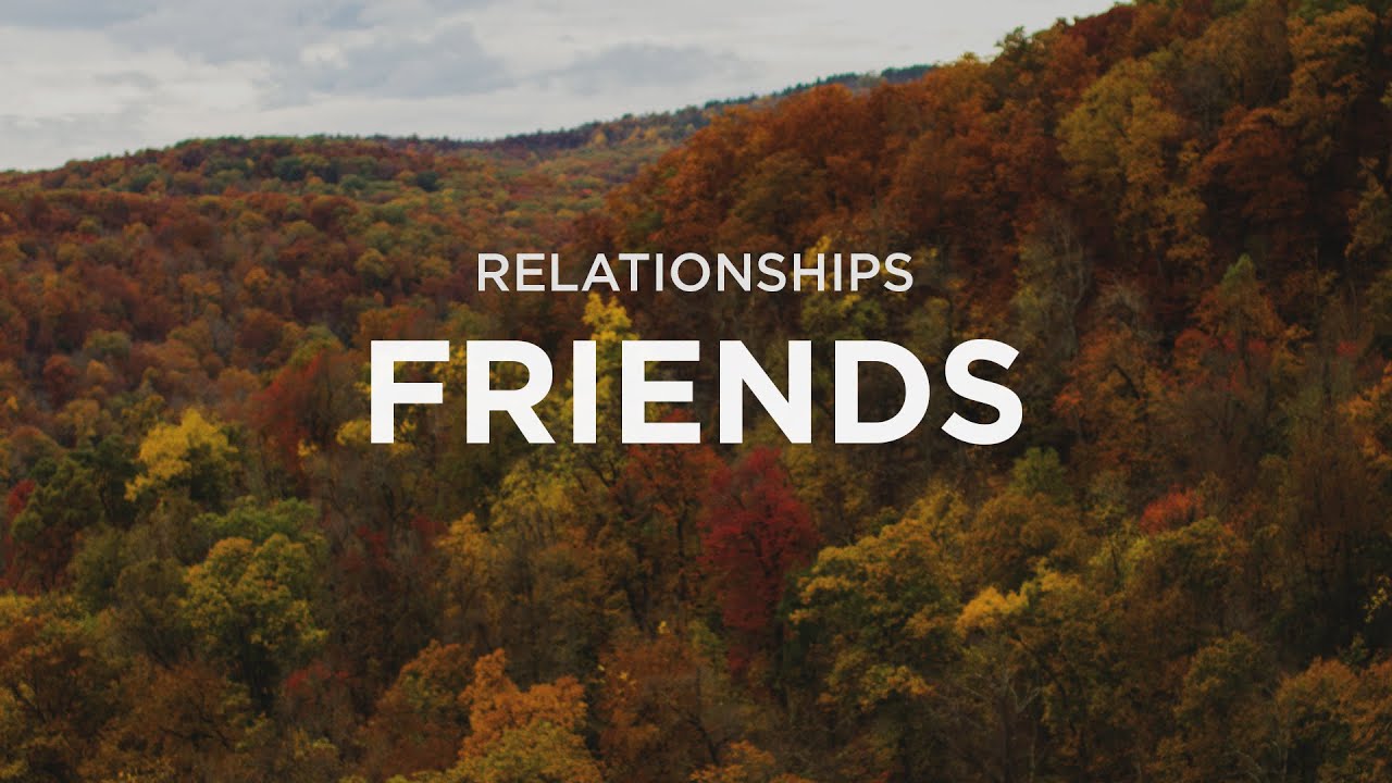 friendship and relationship friendship and relationship